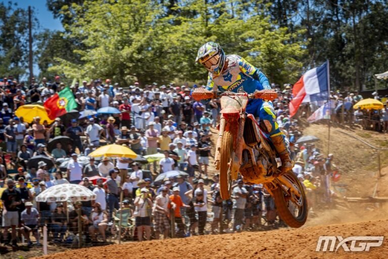 HERLINGS
